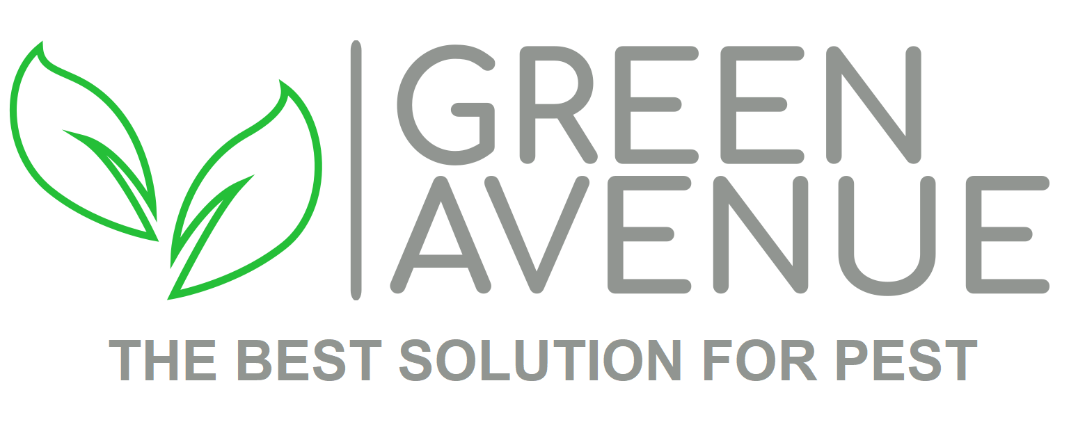 Logo 1
